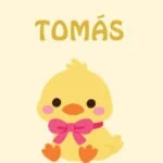 template_pato_21x21_bold_novo