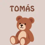 template_urso_21x21_bold_novo