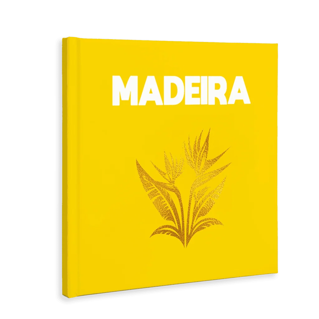 Madeira - Sem fundo